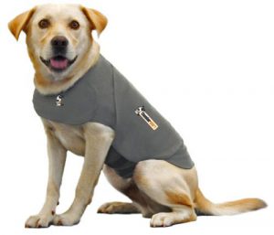 Thundershirt hond